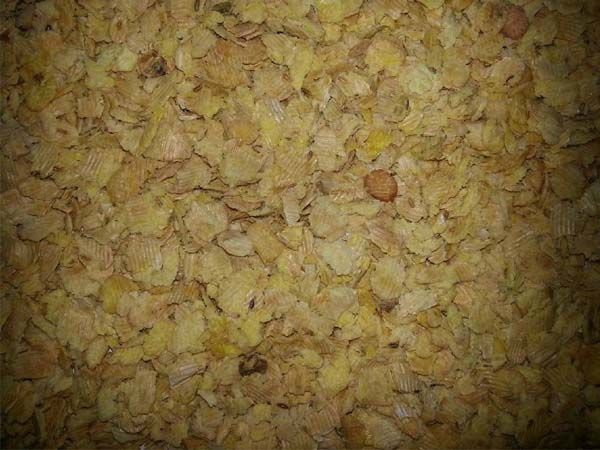 蒸汽熟化壓片大豆飼料1
